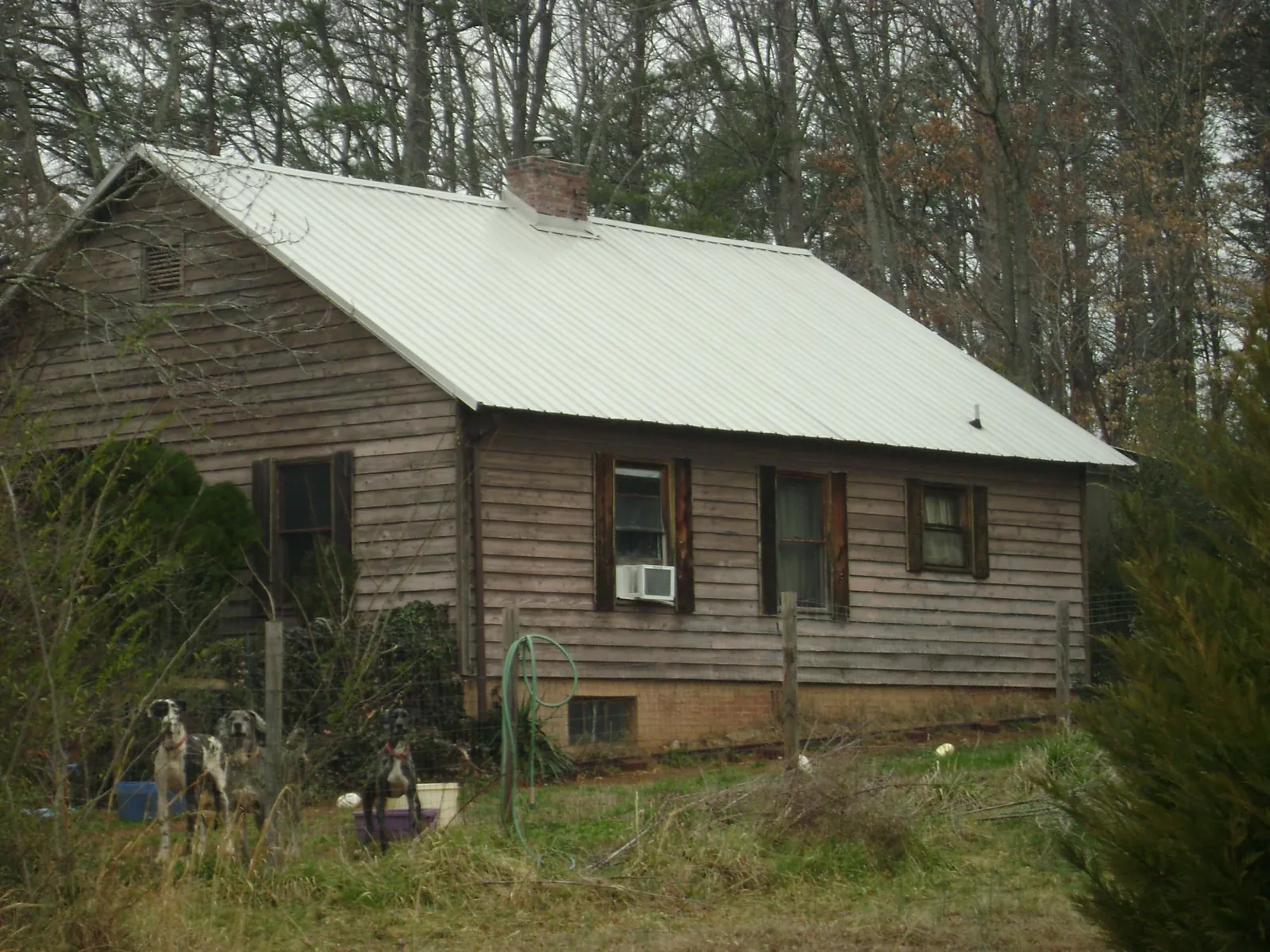 White metal roof on an old wood sided farmhouse, from a Asphalt Shingle Roof Repair job in Cardinal